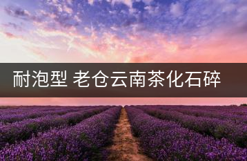 耐泡型 老倉(cāng)云南茶化石碎銀子普洱熟茶糯米香茶老茶頭散茶葉250g