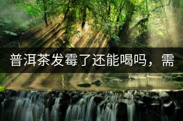 普洱茶發(fā)霉了還能喝嗎，需要怎么處理？