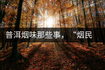 普洱煙味那些事，“煙民”不怕當(dāng)