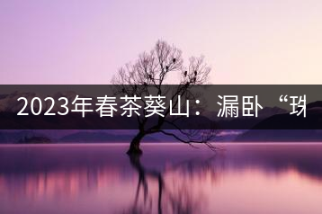 2023年春茶葵山：漏臥“珠江紅：1200元-3200元（有3個(gè)檔次）漏臥“大廠茶”：古樹單株8600-9000元／公斤，中樹4800-5200元／公斤，小樹混采2600-2800元／公斤。
