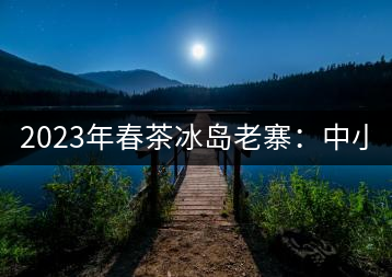 2023年春茶冰島老寨：中小樹混采2500-3000元／公斤，大樹：7000-8000元／公斤，古樹混采：28000-36000元／公斤