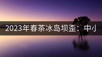 2023年春茶冰島壩歪：中小樹800元／公斤，古樹1400-1600元／公斤
