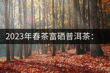2023年春茶富硒普洱茶：1.富硒有機(jī)手工生普，市場(chǎng)指導(dǎo)價(jià)800元／公斤；2.富硒有機(jī)一級(jí)紅茶，市場(chǎng)指導(dǎo)價(jià)800元／公斤；3.富硒有機(jī)熟普餅，市場(chǎng)指導(dǎo)價(jià)1000元／公斤；4.富硒有機(jī)月光白茶，市場(chǎng)指導(dǎo)價(jià)800元／公斤。