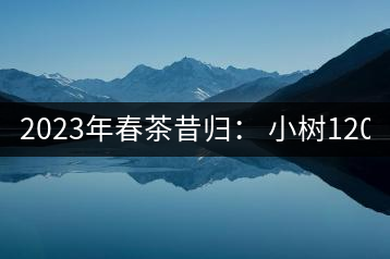 2023年春茶昔歸： 小樹1200-1600元／公斤，大樹4500-5200元／公斤，古樹7500-9000元／公斤.