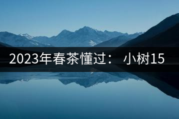 2023年春茶懂過(guò)： 小樹150元／公斤, 古樹400-600元／公斤