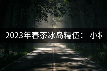 2023年春茶冰島糯伍： 小樹1300元／公斤，古樹：2100~2300元／公斤