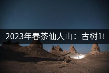 2023年春茶仙人山：古樹1800-2500元／公斤，老曼峨：小樹：600元／公斤 1600-1800元／公斤