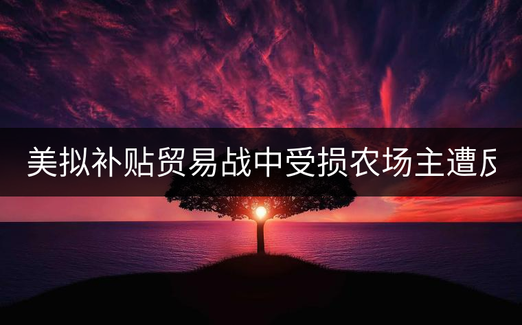 美擬補(bǔ)貼貿(mào)易戰(zhàn)中受損農(nóng)場(chǎng)主遭反對(duì): 只要市場(chǎng) 美擬補(bǔ)貼貿(mào)易戰(zhàn)中受損農(nóng)場(chǎng)主遭反對(duì): 只要市場(chǎng)