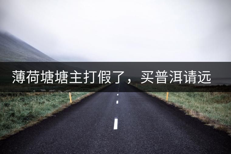 薄荷塘塘主打假了，買普洱請(qǐng)遠(yuǎn)離那些講故事的奸商