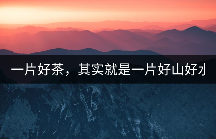 一片好茶，其實就是一片好山好水...一片好茶，其實就是一片好山好水...