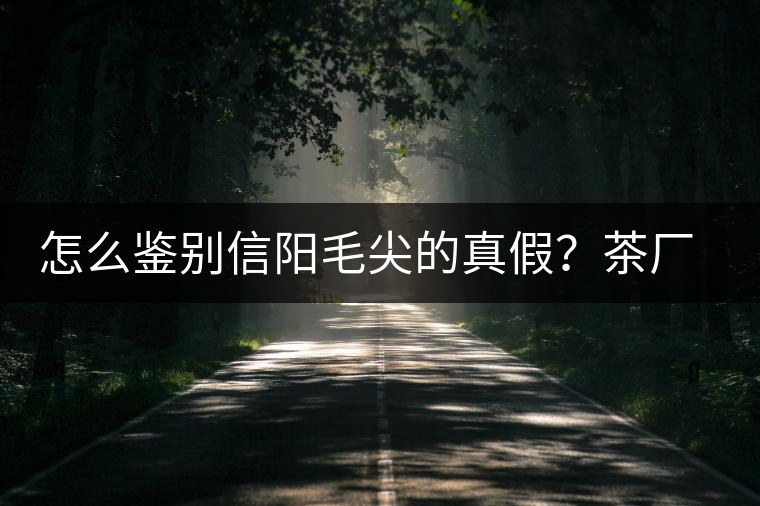 怎么鑒別信陽(yáng)毛尖的真假？茶廠小姐姐親自告訴你茶葉的等級(jí)