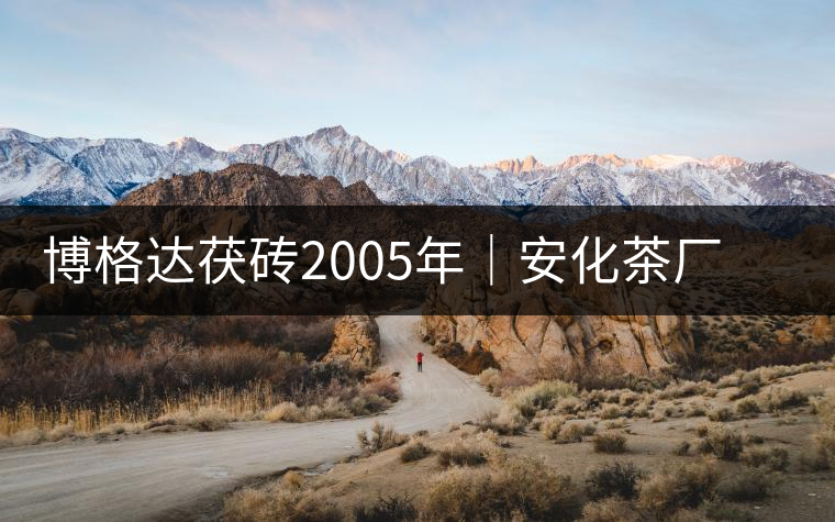 博格達茯磚2005年｜安化茶廠定制款，金花滿披，梅山韻濃！