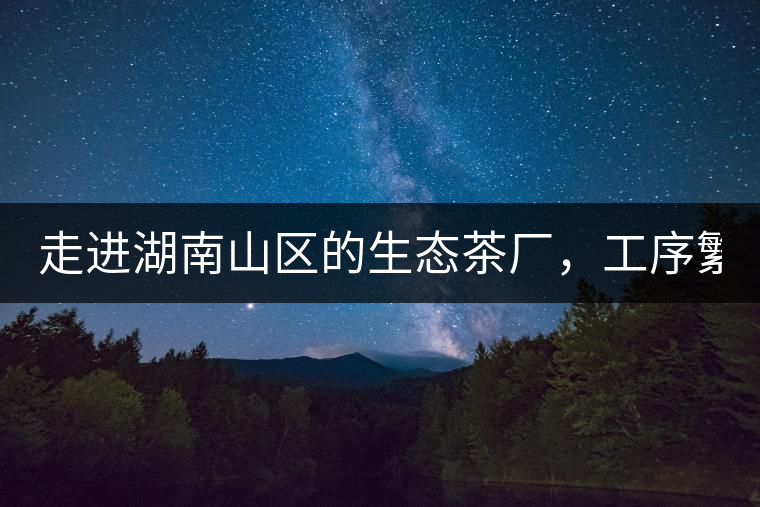 走進湖南山區(qū)的生態(tài)茶廠，工序繁雜精細，538塊錢1斤真值走進湖南山區(qū)的生態(tài)茶廠，工序繁雜精細，538塊錢1斤真值