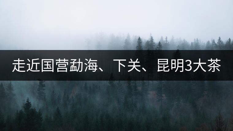 走近國(guó)營(yíng)勐海、下關(guān)、昆明3大茶廠，傳世代表作的發(fā)展詳...走近國(guó)營(yíng)勐海、下關(guān)、昆明3大茶廠，傳世代表作的發(fā)展詳解