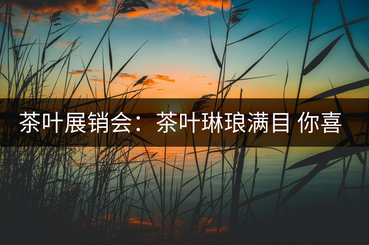 茶葉展銷會：茶葉琳瑯滿目 你喜歡哪種？