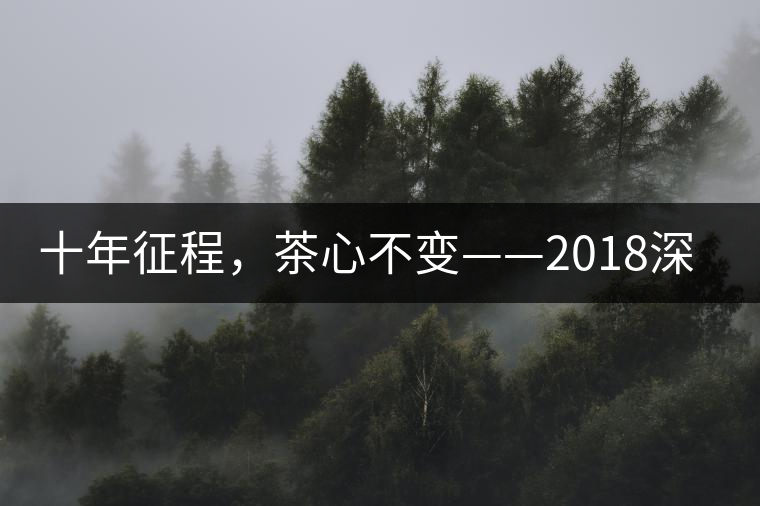 十年征程，茶心不變——2018深圳秋季茶博會12月13日隆重開幕！