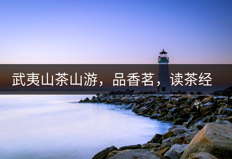 武夷山茶山游，品香茗，讀茶經(jīng)，賞茶景，學茶歷史!武夷山茶山游，品香茗，讀茶經(jīng)，賞茶景，學茶歷史！