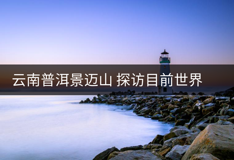 云南普洱景邁山 探訪目前世界上面積最大、年代最久遠(yuǎn)的古茶園 云南普洱景邁山 探訪目前世界上面積最大、年代最久遠(yuǎn)的古茶園