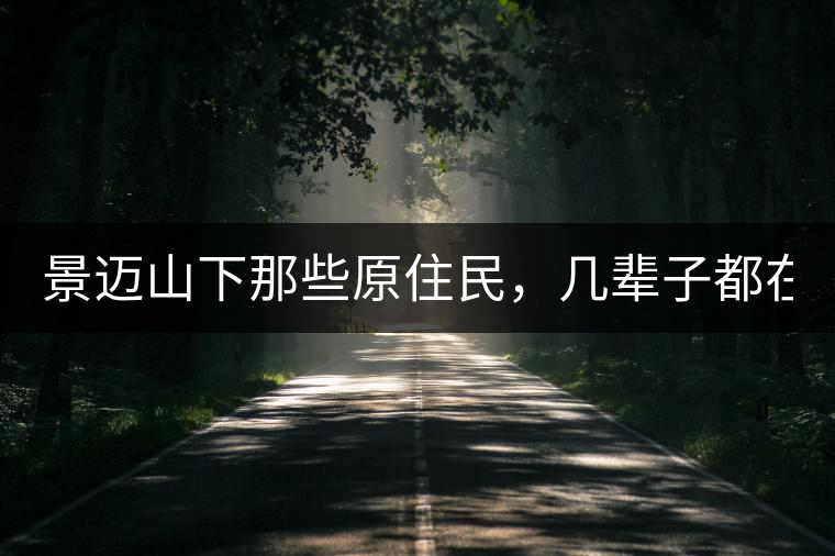 景邁山下那些原住民，幾輩子都在采茶、制茶，才有最...景邁山下那些原住民，幾輩子都在采茶、制茶，才有最好喝的普洱