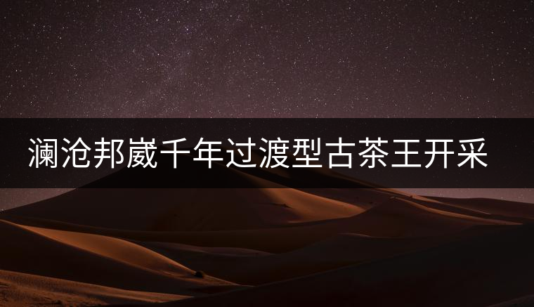 瀾滄邦崴千年過(guò)渡型古茶王開采瀾滄邦崴千年過(guò)渡型古茶王開采