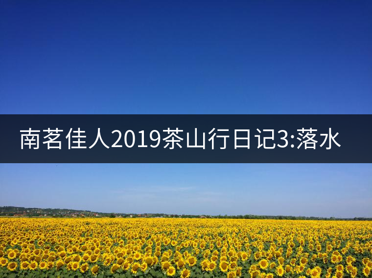 南茗佳人2019茶山行日記3:落水洞--200多年建村歷史，...南茗佳人2019茶山行日記3：落水洞——200多年建村歷史，靈動清越