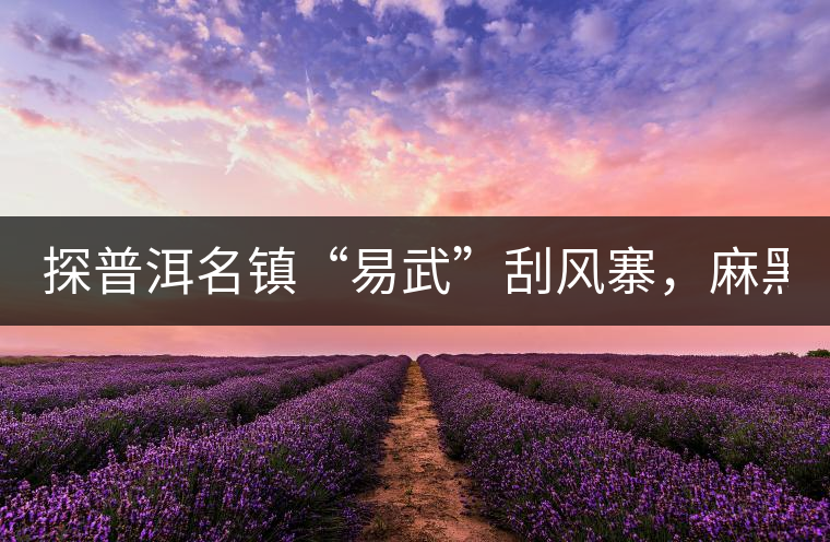 探普洱名鎮(zhèn)“易武”刮風(fēng)寨，麻黑，落水洞!小編親自下...探普洱名鎮(zhèn)“易武”刮風(fēng)寨，麻黑，落水洞！小編親自下手“殺青”