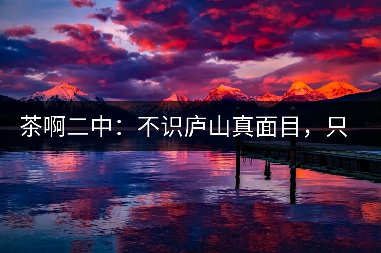 茶啊二中：不識(shí)廬山真面目，只識(shí)彎弓射大雕，賈淳真搞笑