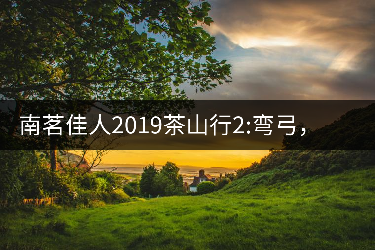南茗佳人2019茶山行2:彎弓，一路艱辛，只為這有生命...南茗佳人2019茶山行2：彎弓，一路艱辛，只為這有生命厚度的茶！
