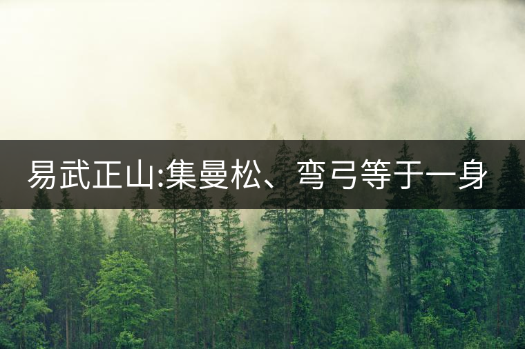 易武正山:集曼松、彎弓等于一身的貴族老黃片，好喝沒(méi)得...易武正山：集曼松、彎弓等于一身的貴族老黃片，好喝沒(méi)得說(shuō)