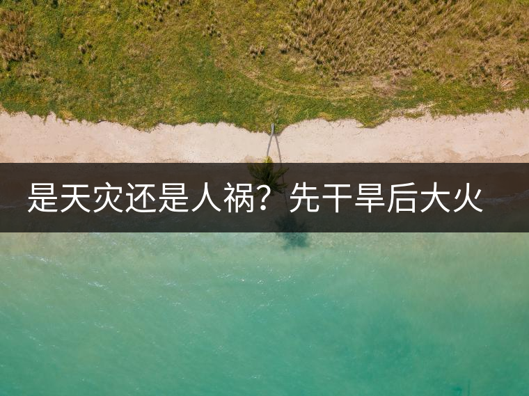 是天災(zāi)還是人禍？先干旱后大火，普洱茶將何去何從？