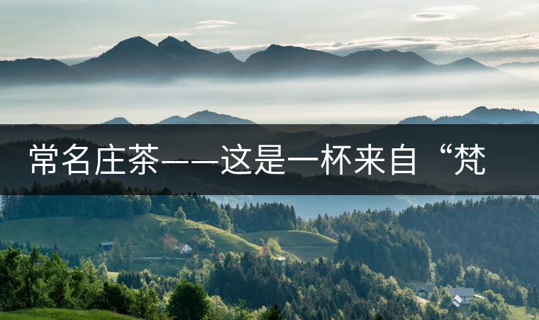 常名莊茶——這是一杯來自“梵天凈土”的茶 常名莊茶——這是一杯來自“梵天凈土”的茶