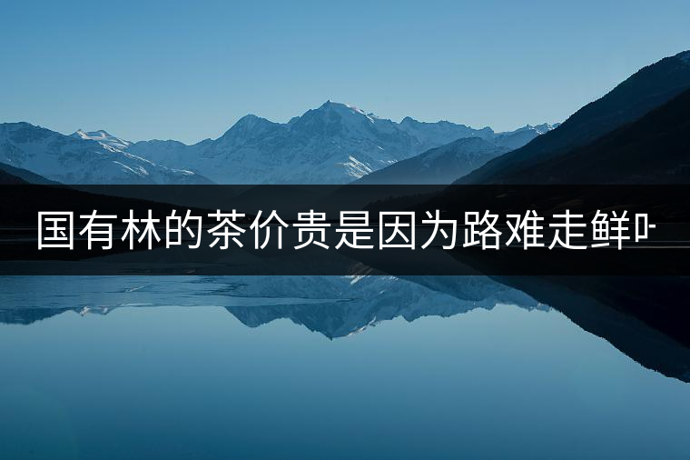 國有林的茶價貴是因?yàn)槁冯y走鮮葉難采?不怕，現(xiàn)在有它了...國有林的茶價貴是因?yàn)槁冯y走鮮葉難采？不怕，現(xiàn)在有它了！