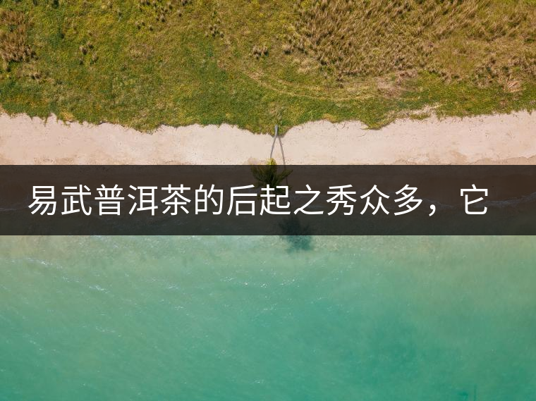 易武普洱茶的后起之秀眾多，它是還沒(méi)漲價(jià)的一個(gè)！