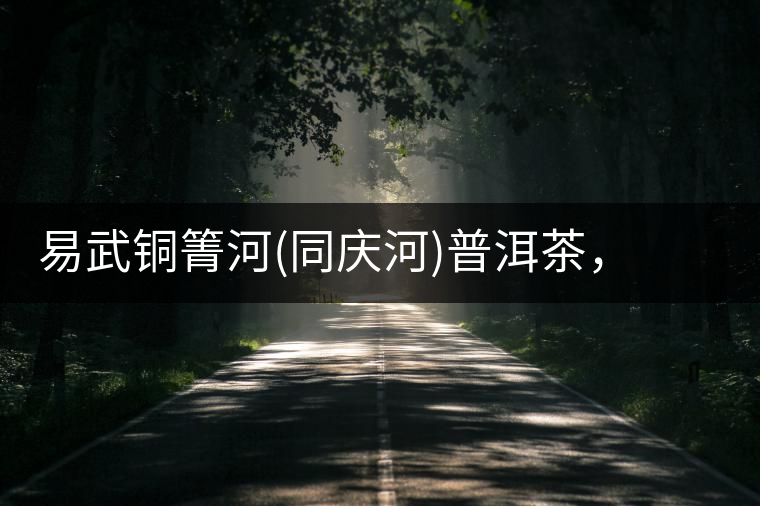 易武銅箐河(同慶河)普洱茶，讓我拜倒的不止它的口感易武銅箐河（同慶河）普洱茶，讓我拜倒的不止它的口感