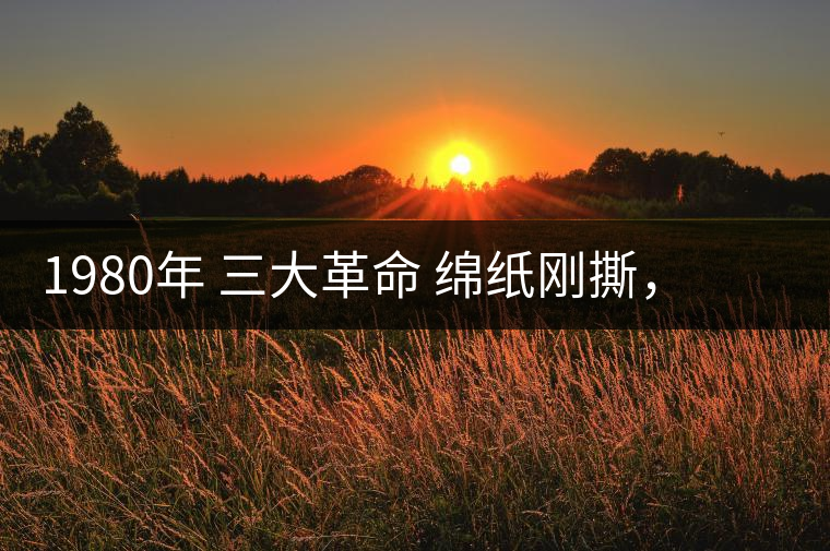 1980年 三大革命 綿紙剛撕，品相極好，整體干凈漂亮1980年 三大革命 綿紙剛撕，品相極好，整體干凈漂亮