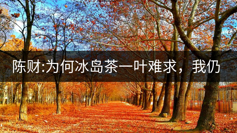 陳財:為何冰島茶一葉難求，我仍然堅持