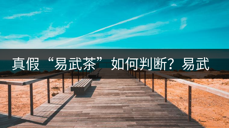 真假“易武茶”如何判斷？易武普洱茶有哪些特點？