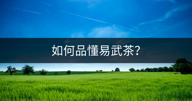 如何品懂易武茶？