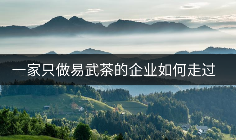 一家只做易武茶的企業(yè)如何走過了十年？