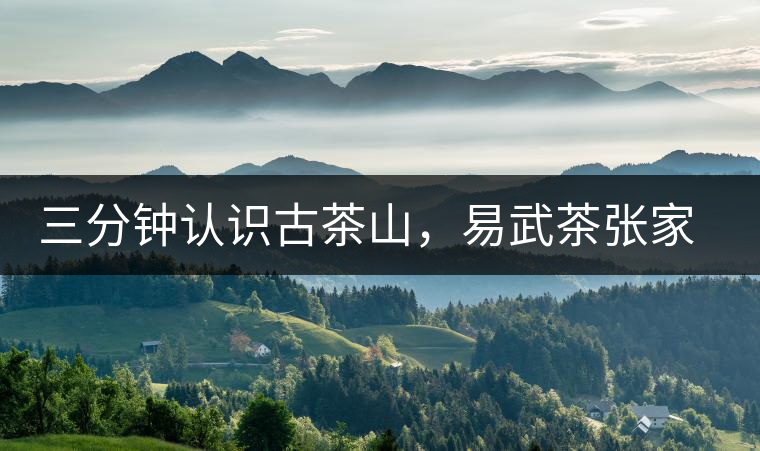 三分鐘認(rèn)識(shí)古茶山，易武茶張家灣寨普洱茶口感特點(diǎn)