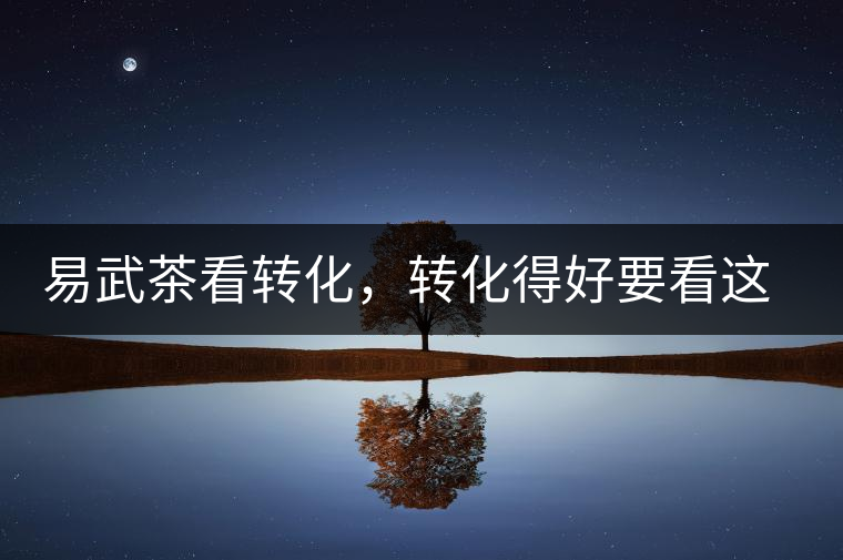 易武茶看轉(zhuǎn)化，轉(zhuǎn)化得好要看這三要素及品牌優(yōu)勢(shì)！