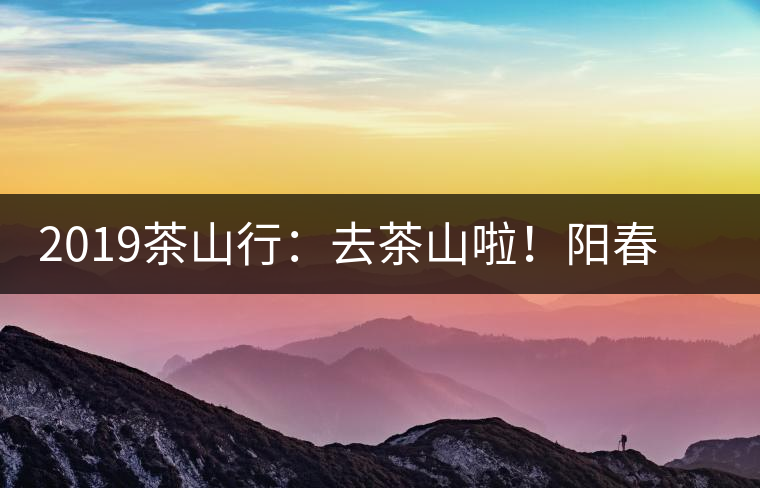 2019茶山行：去茶山啦！陽春三月，和南茗佳人一起上山喝好茶！