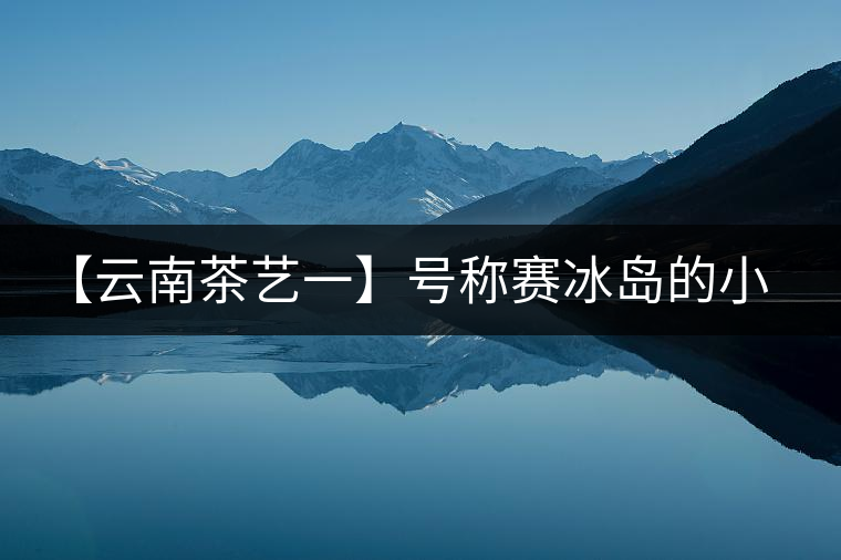 【云南茶藝一】號稱賽冰島的小戶賽憑什么！今天帶大家一起研究下