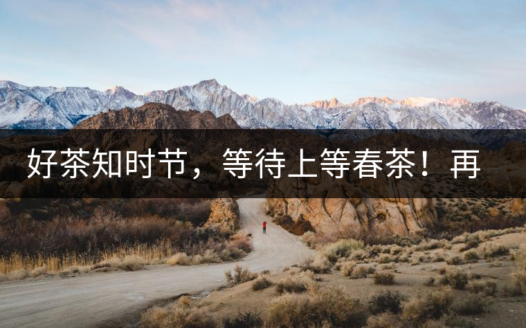 好茶知時節(jié)，等待上等春茶！再來回味這些年喝過的小戶賽古樹春茶