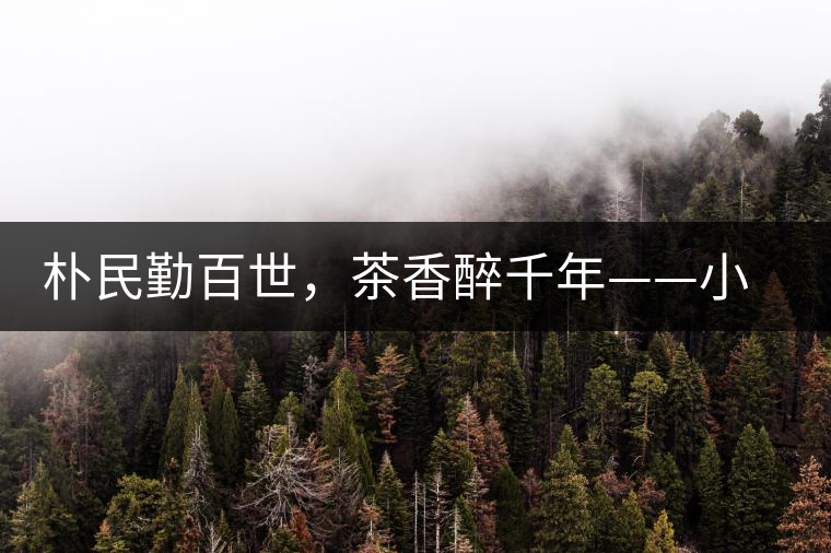 樸民勤百世，茶香醉千年——小戶賽古寨