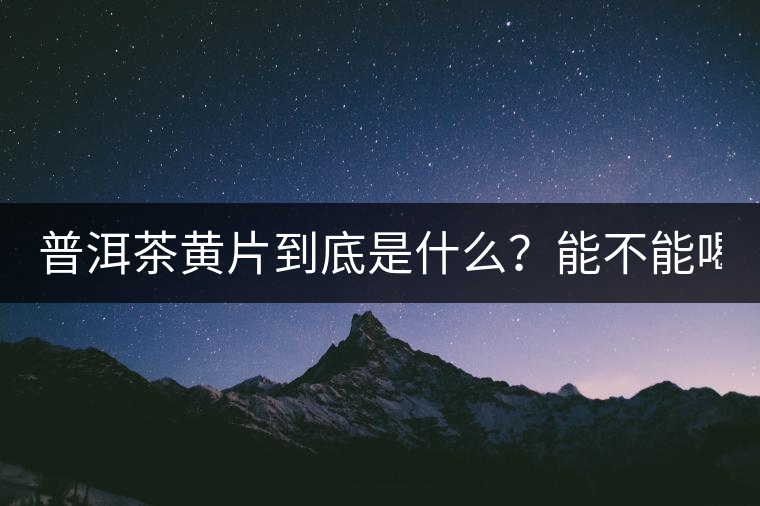 普洱茶黃片到底是什么？能不能喝？