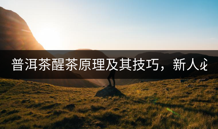 普洱茶醒茶原理及其技巧，新人必備！