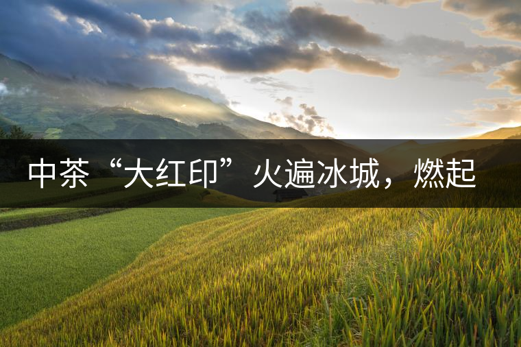 中茶“大紅印”火遍冰城，燃起普洱茶新味蕾