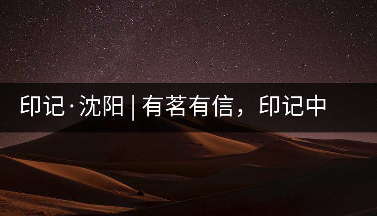 印記·沈陽 | 有茗有信，印記中茶，中茶普洱亮相沈陽茶博會