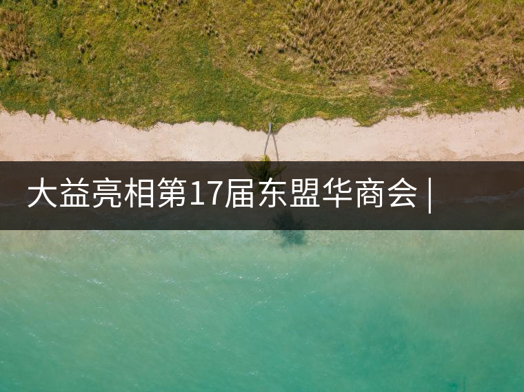 大益亮相第17屆東盟華商會(huì) | 海內(nèi)外嘉賓共謀發(fā)展，共品大益茶